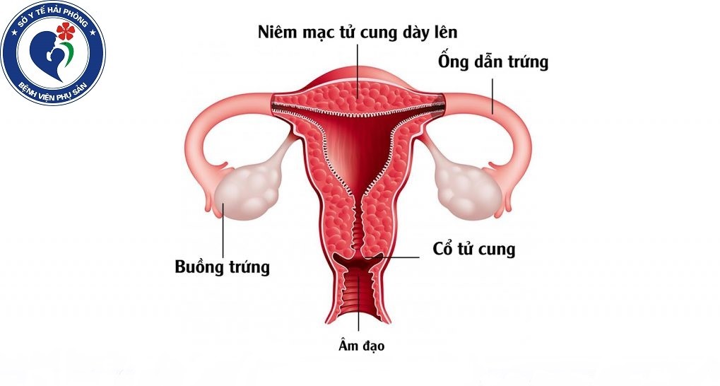 Công nghệ chăm sóc da tại Spa được áp dụng làm đẹp lớp nội mạc tử cung của mẹ