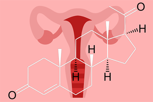 Progesterone là gì và có vai trò như thế nào đối với phụ nữ?
