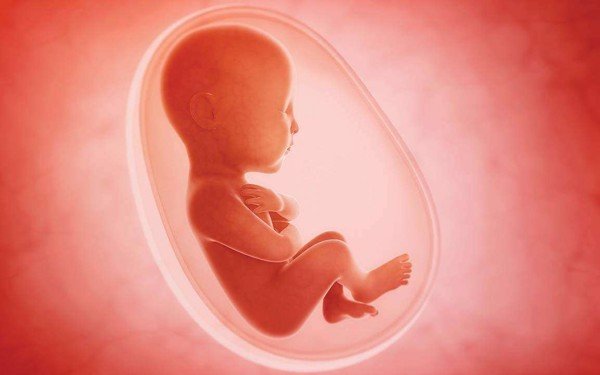 Nguyên nhân và sự nguy hiểm của thai lưu