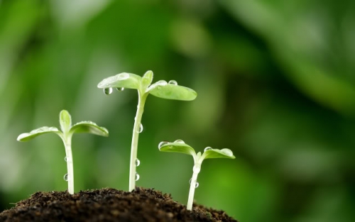 Chuyên mục ươm mầm hạnh phúc