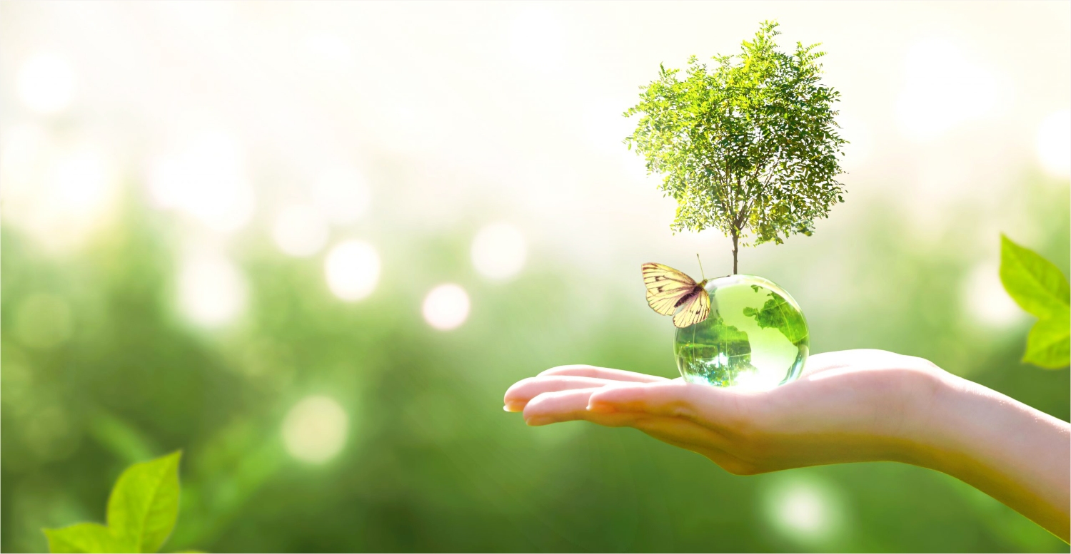 Công bố kết quả quan trắc môi trường Bệnh viện Phụ sản Hải phòng cơ sở 1 Quý 3/2024Tin tức bệnh viện