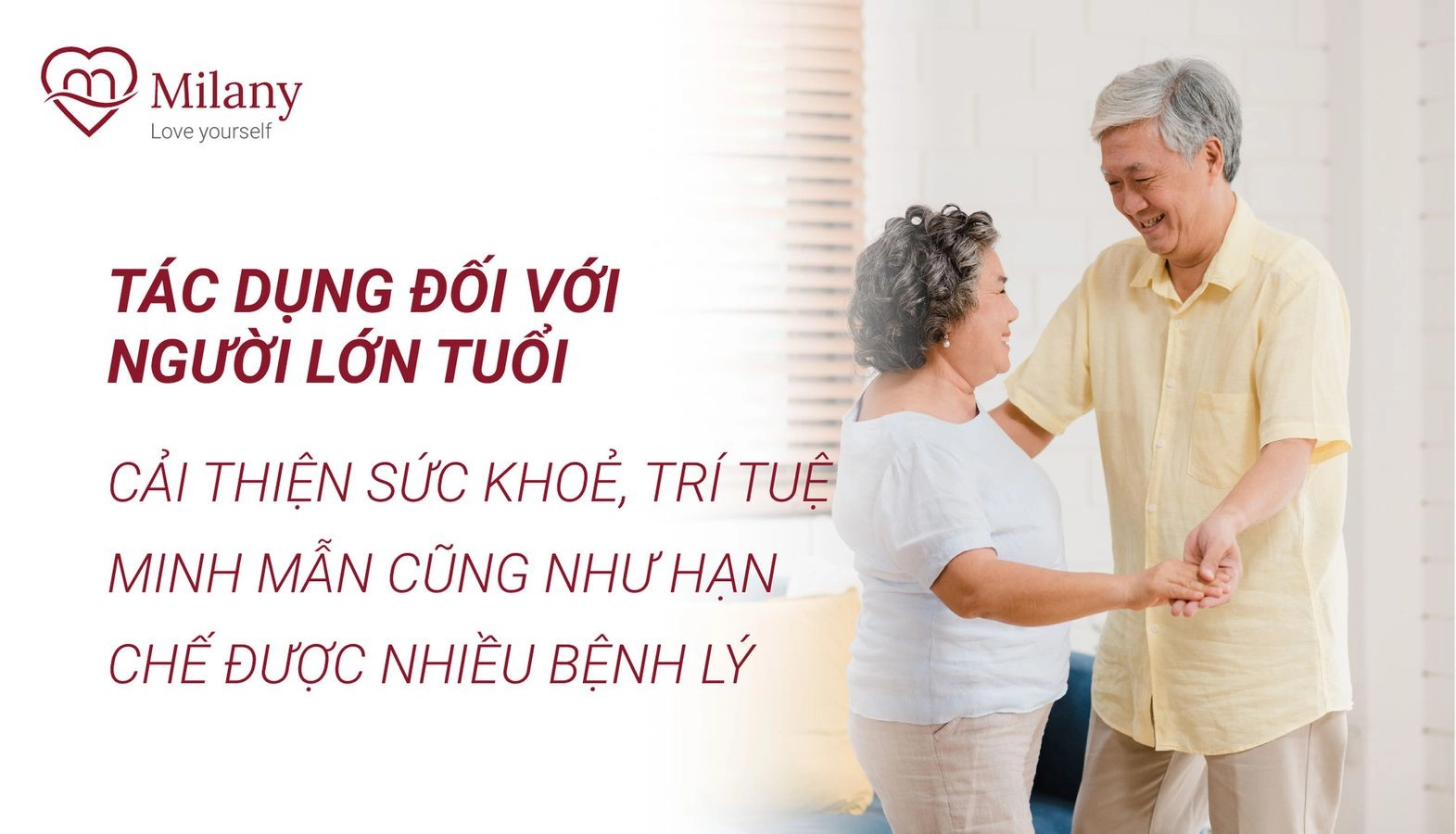 Tác dụng của yến chưng với người lớn tuổi như thế nào?Tin tức xã hội